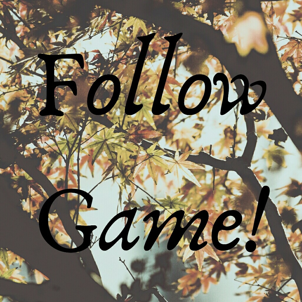 💐Follow Game💐